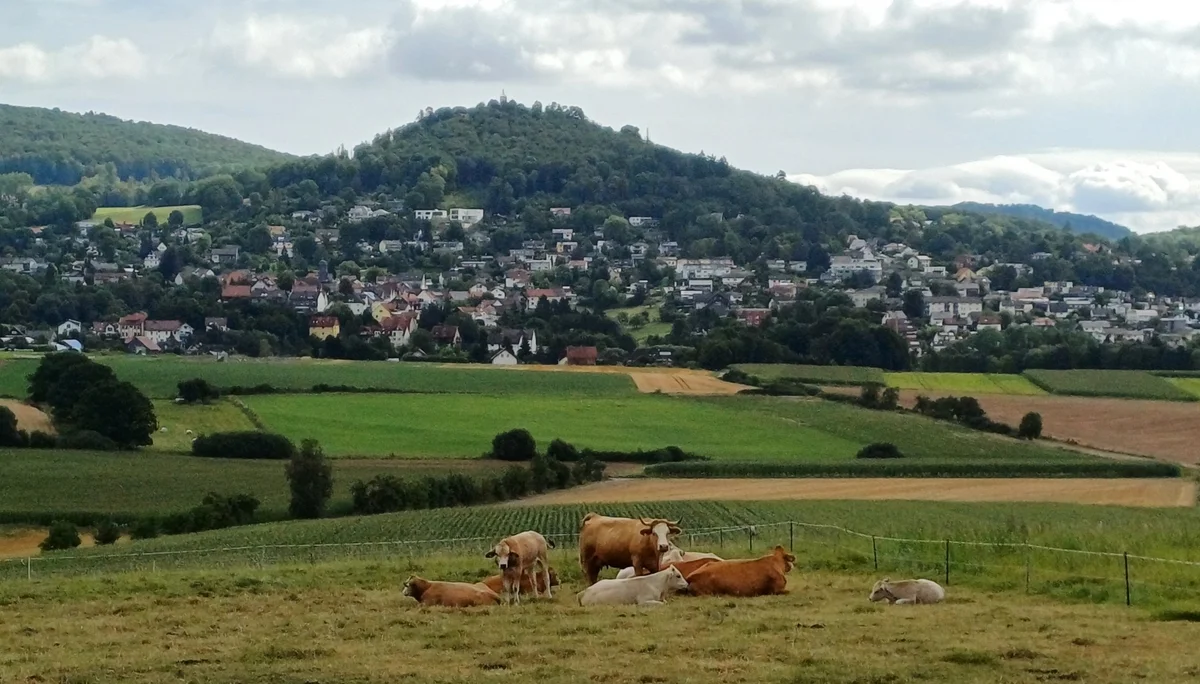 © Sektion Kassel