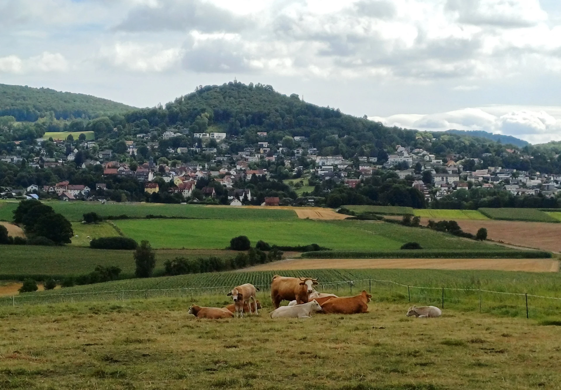 © Sektion Kassel
