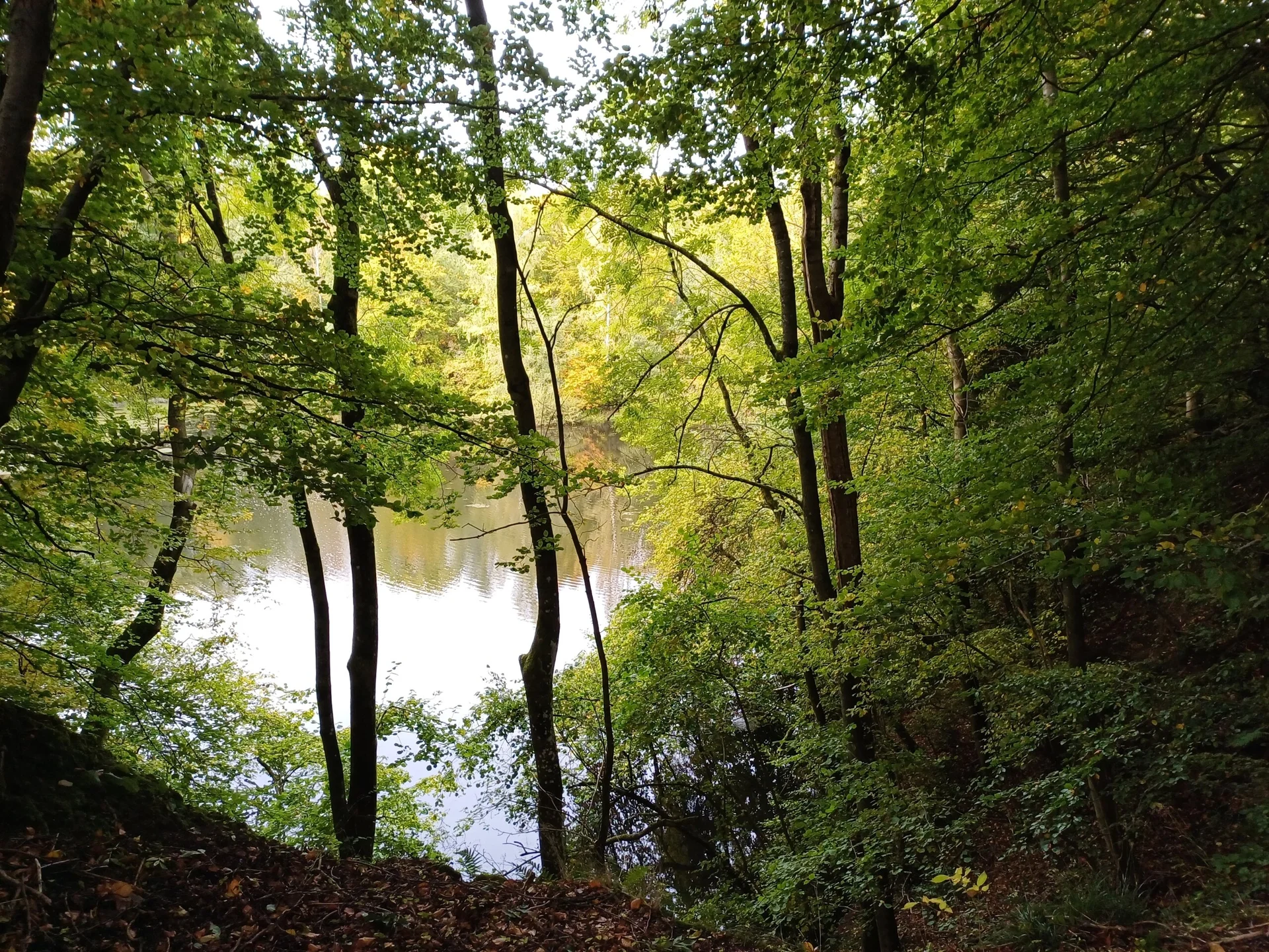 © Sektion Kassel