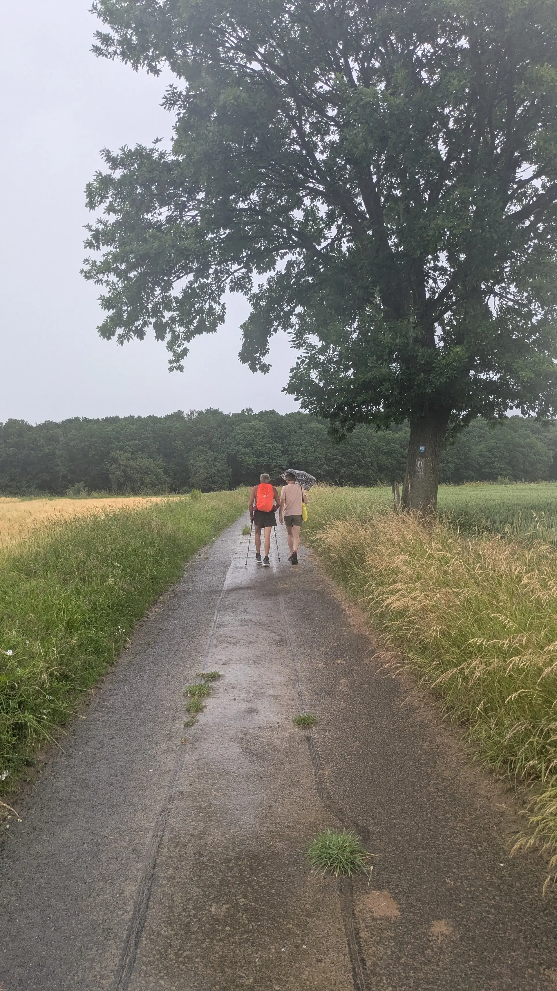 30km 21.06. | © Sektion Kassel