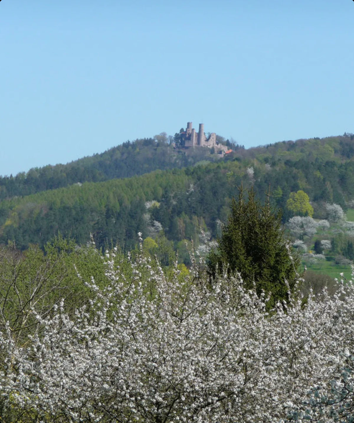 © Sektion Kassel
