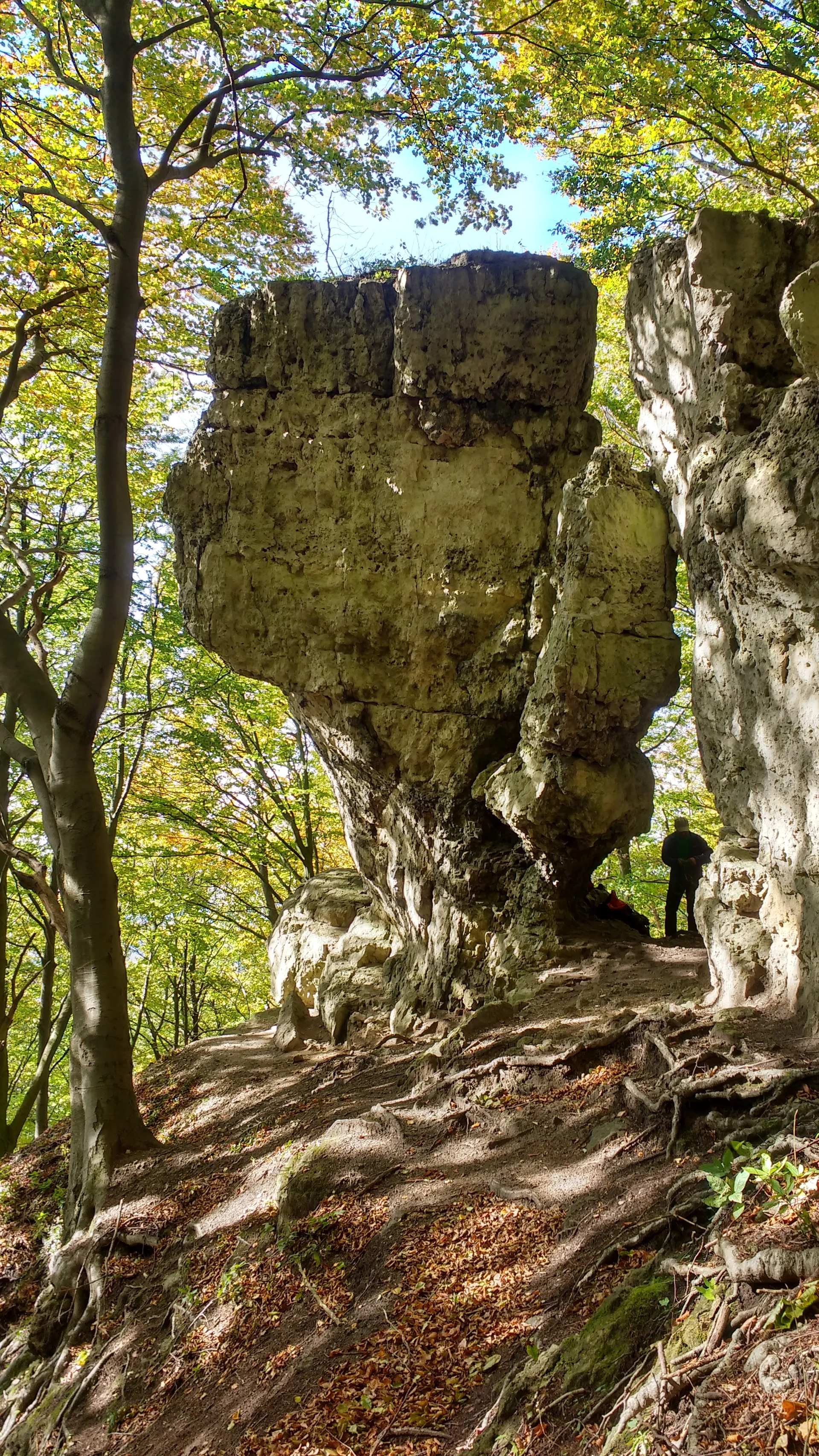 © Sektion Kassel