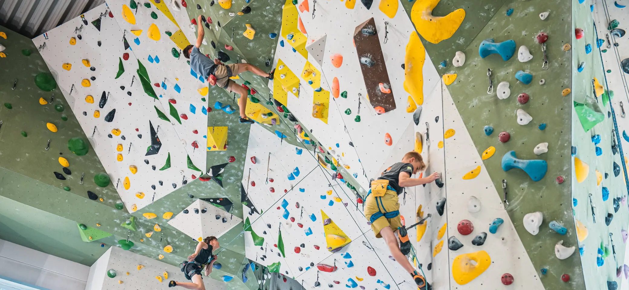 © Sektion Kassel / Anna Hamburger