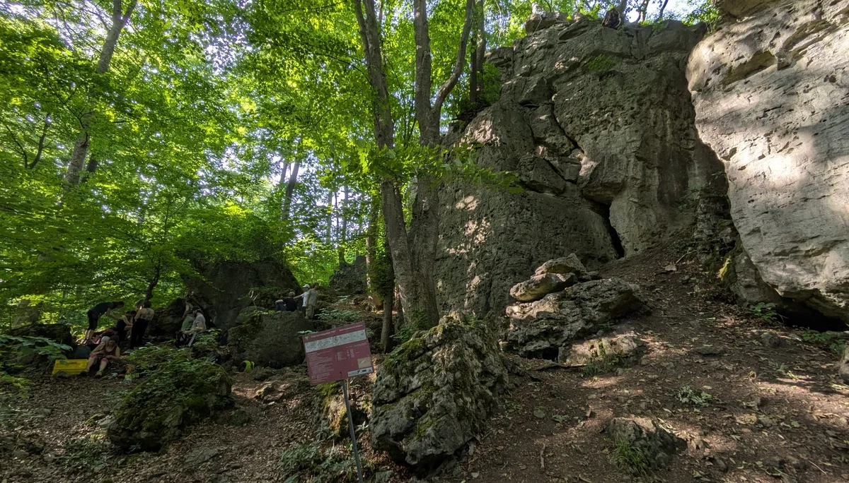 © Sektion Kassel